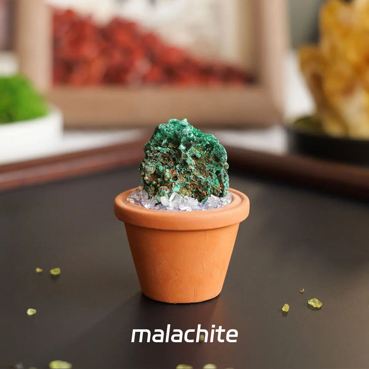 A small green malachite crystal potted in terracotta soil on a dark surface.
