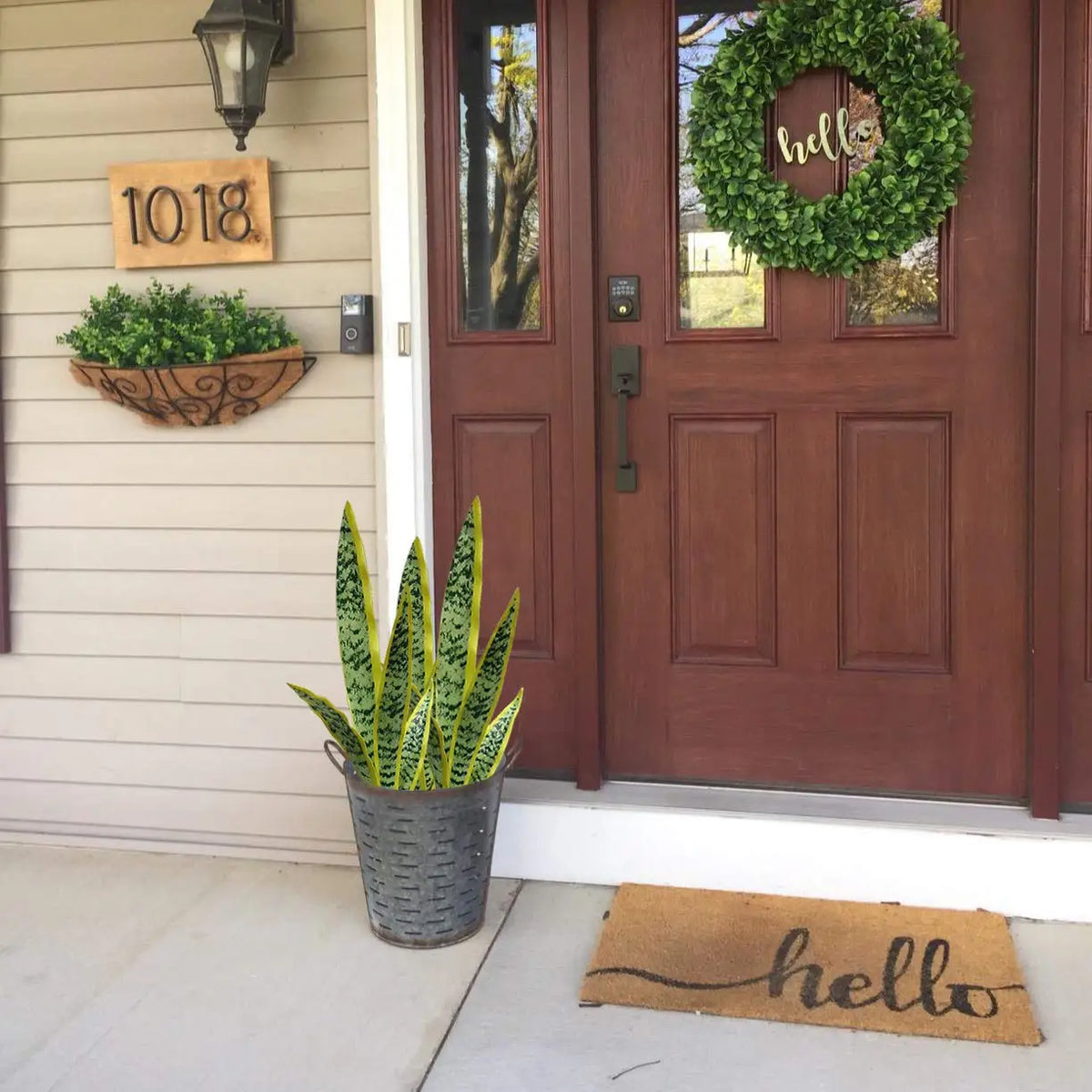 Una planta artificial de serpiente en maceta está en un porche junto a una puerta de madera decorada con un adorno.