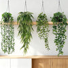 A set of four artificial eucalyptus hanging vines with green leaves suspended against a white wall above a wooden shelf.