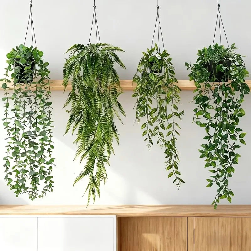 A set of four artificial eucalyptus hanging vines with green leaves suspended against a white wall above a wooden shelf.