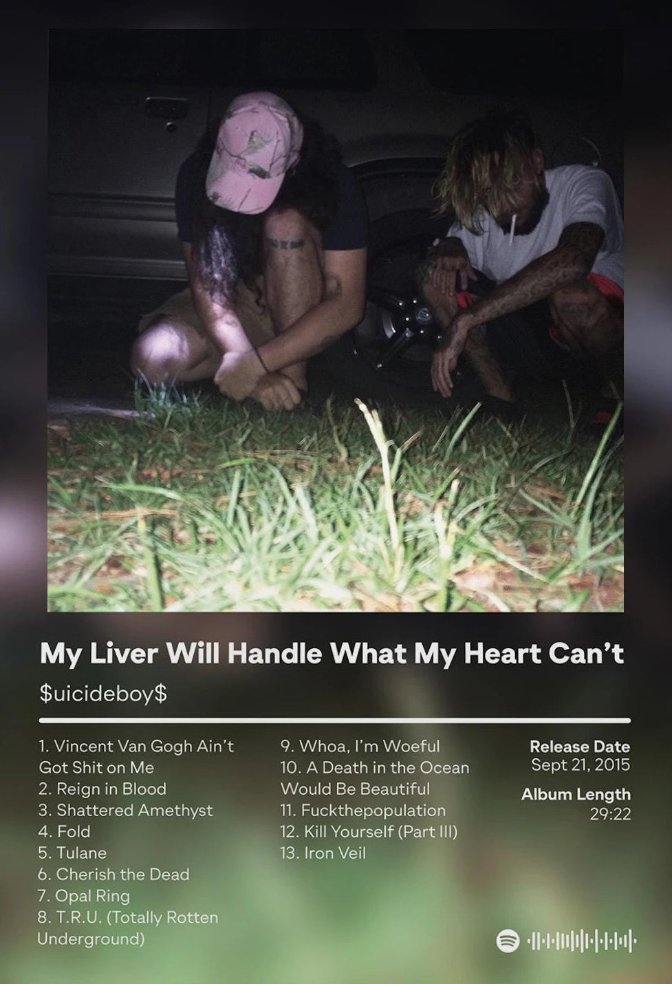 Album cover art featuring a person lying down in grass with a dark car in the background.