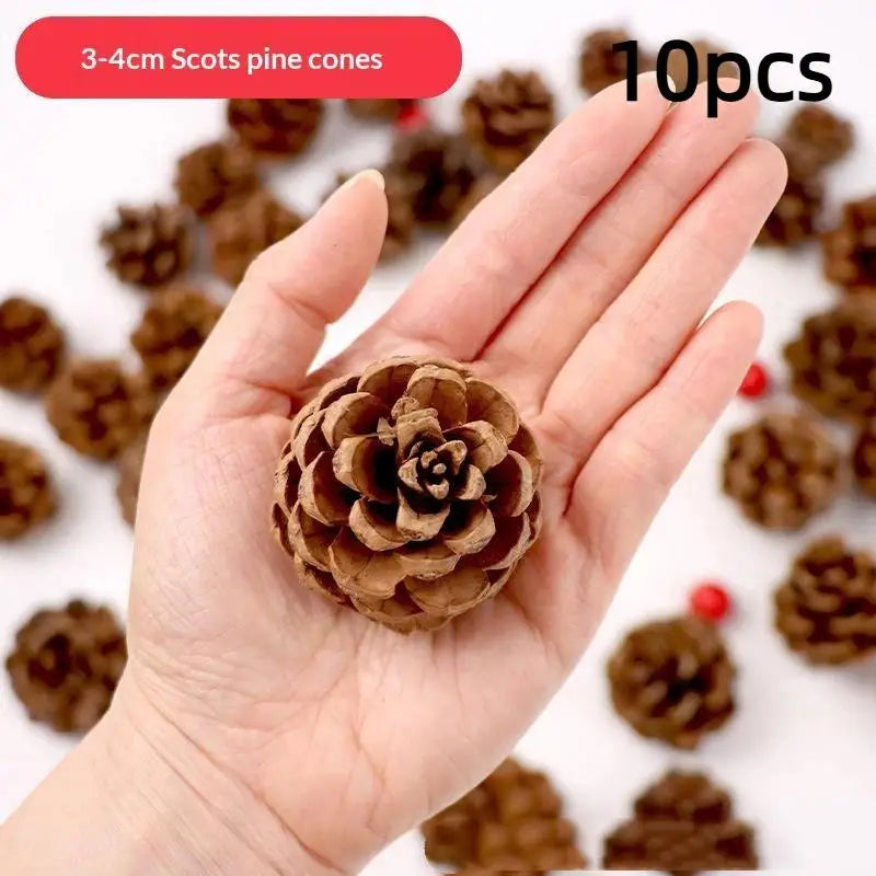 A hand holds ten natural dried pine cones for Christmas decor and DIY crafts.
