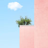 A pink minimalist building facade with a small tree on top against a clear blue sky.