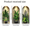 Three potted green plants displayed in decorative wall frames showing the received size.