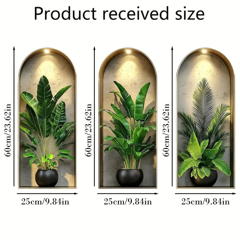 Three potted green plants displayed in decorative wall frames showing the received size.