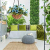 A metal hanging basket with a coconut liner is displayed in a bright interior setting surrounded by lush greenery.