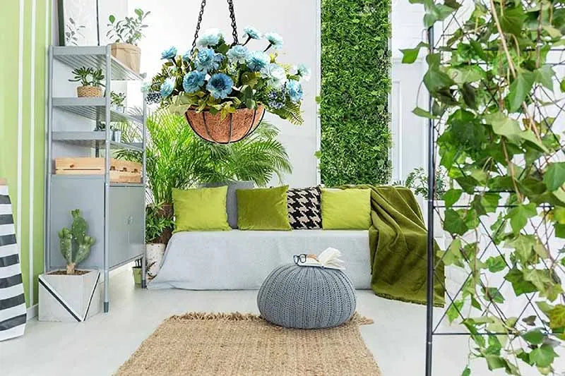 A metal hanging basket with a coconut liner is displayed in a bright interior setting surrounded by lush greenery.