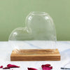 A clear, heart-shaped hydroponic glass vase rests on a wooden stand on a white surface.