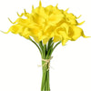 A bouquet of five bright yellow calla lily flowers on a green stem.