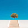 A minimalist wooden staircase leading to a single green tree against a clear blue sky.