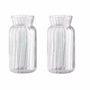 A pair of clear glass vases with vertical stripes for home decor.