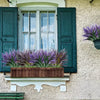 Purple artificial tall grass and tropical flowers in a wooden planter mounted on an exterior wall.