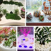 Natural White Decorative Pebbles for Aquariums, Plants & Home Decor