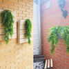 Artificial plant vines hanging on a brick wall next to a white brick wall.