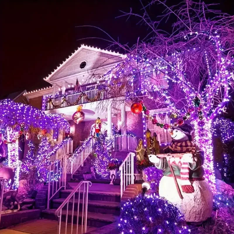 A house decorated with purple LED string lights and a large illuminated tree at night.