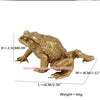 A brass money frog feng shui figurine with dimensions 2.5cm high, 6cm long, and weighing 66g.