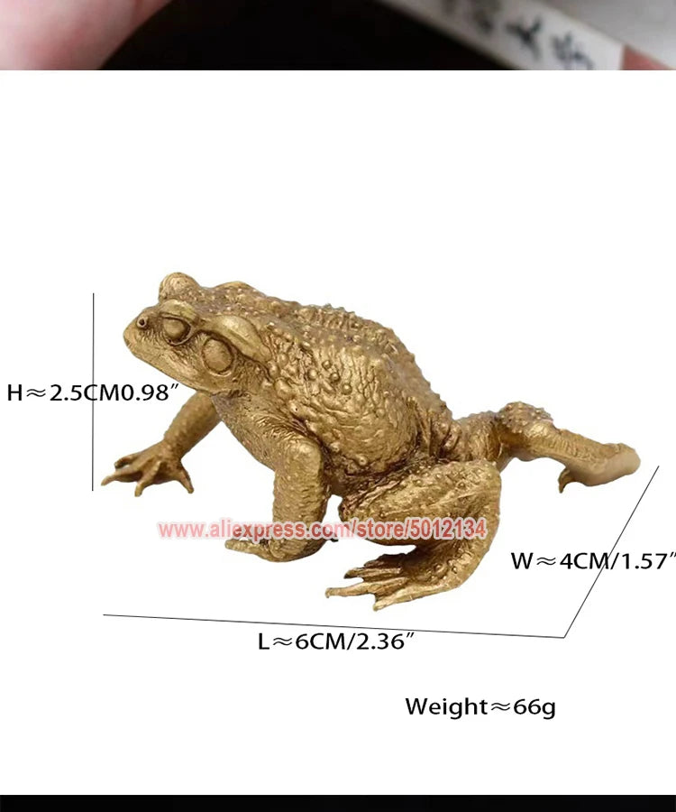 A brass money frog feng shui figurine with dimensions 2.5cm high, 6cm long, and weighing 66g.