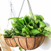 A metal hanging basket with a coconut fiber liner filled with vibrant green foliage.