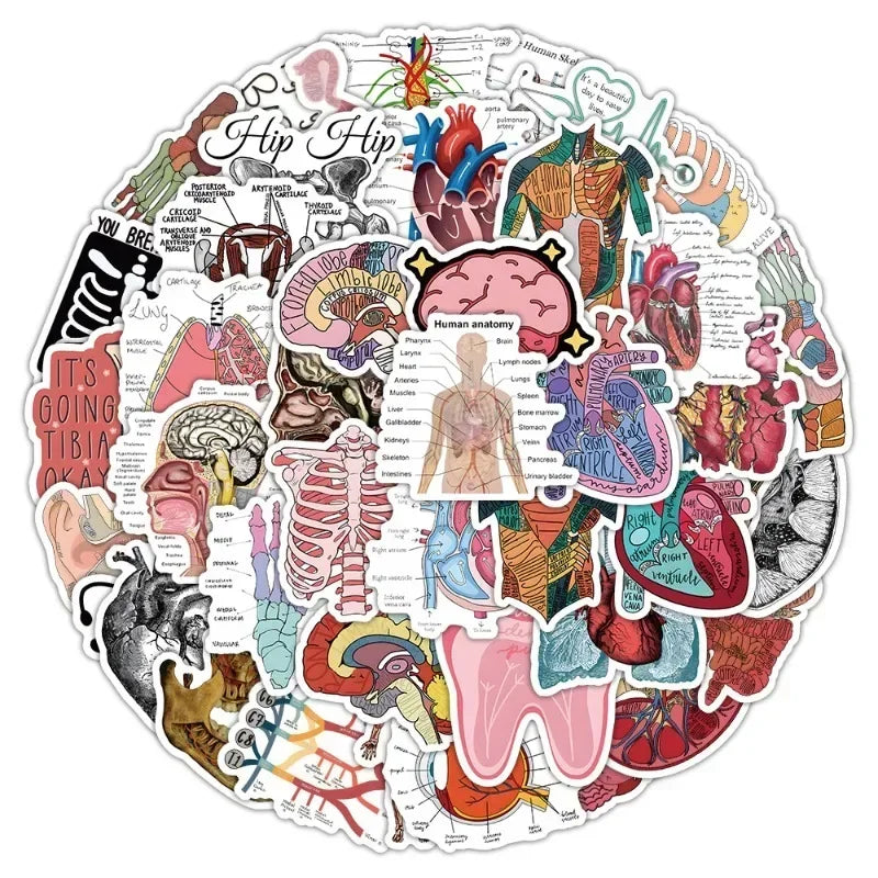 A collection of pink and colorful graffiti stickers illustrating human anatomy, including organs and skeletal structures.