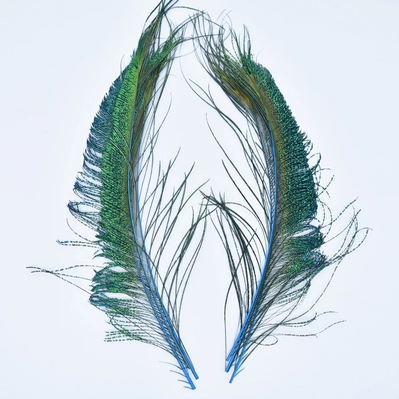 A pair of natural peacock feathers with iridescent green and blue barbs against a white background.