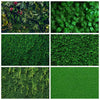 A collection of vibrant green tropical jungle leaves and foliage used as a photography backdrop.