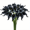 A bouquet of five dark purple to black calla lily blooms on green stems.