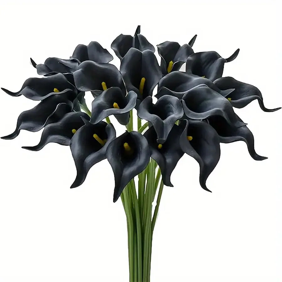 A bouquet of five dark purple to black calla lily blooms on green stems.