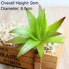 Artificial Succulent Bonsai for Desk & Home Decor