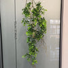 Artificial hanging ivy vine with green leaves displayed against a glass panel.