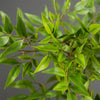 Artificial Nandina plant featuring lush green leaves used for indoor and outdoor decor.