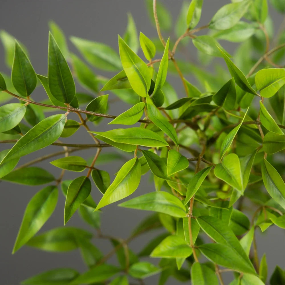 Artificial Nandina plant featuring lush green leaves used for indoor and outdoor decor.