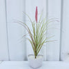 A potted artificial grass plant with long green blades and a tall pink flower spike on a white surface.