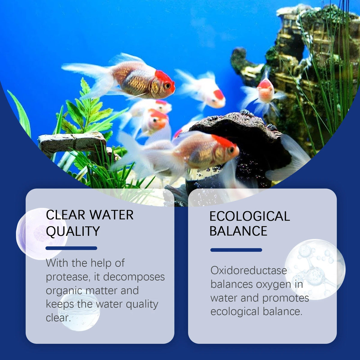 Multi-Enzyme Aquarium Water Clarifier – 100ml