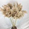 A bouquet of natural dried pampas grass with feathery plumes arranged in a vase.