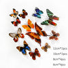 A collection of colorful 3D butterfly wall stickers in various sizes and colors, including orange, black, blue, and green.