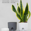 A self-watering transparent flower pot with a white lid and cotton rope, featuring Nordic yellow and green leaves.