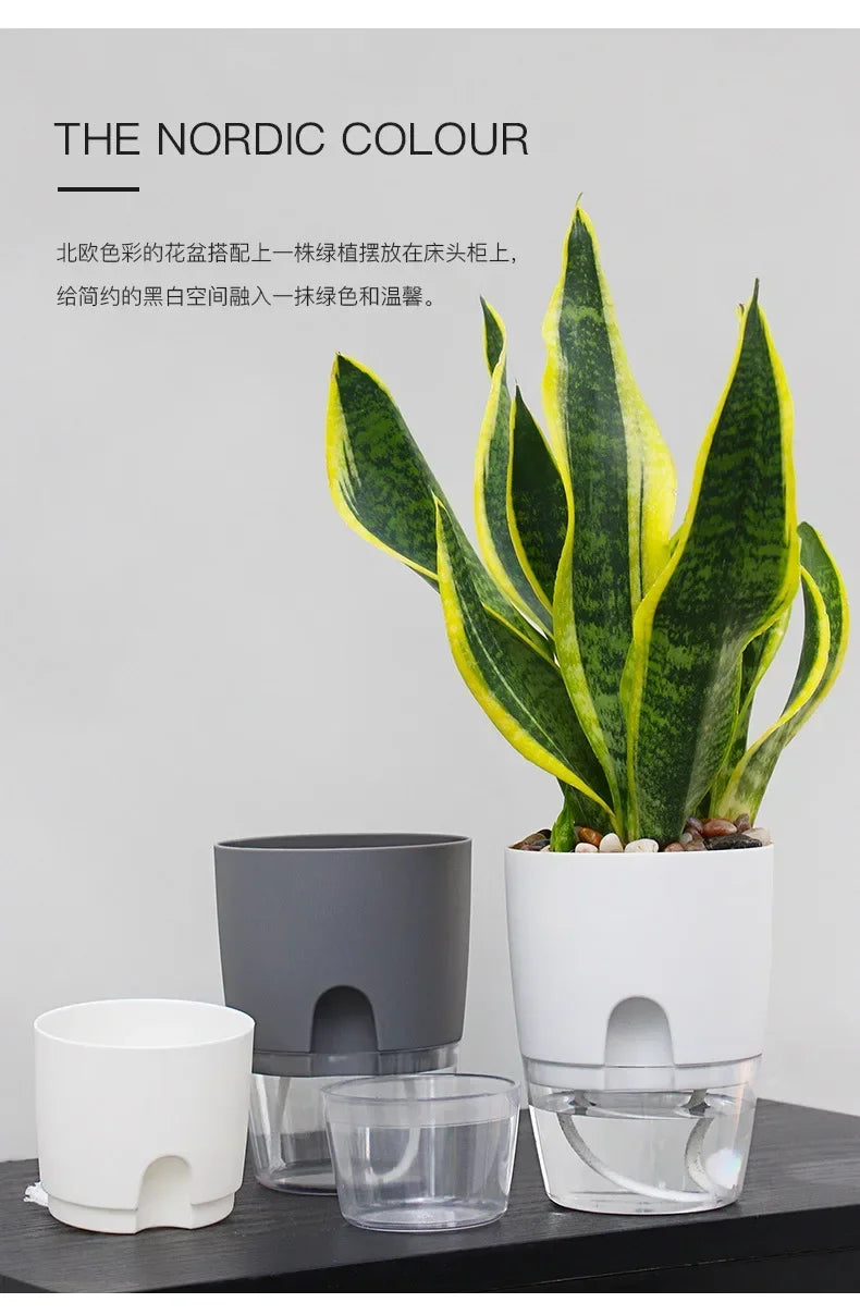 A self-watering transparent flower pot with a white lid and cotton rope, featuring Nordic yellow and green leaves.