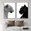 Black and White Leopard and Panther Canvas Wall Art Set