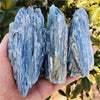 Three vertical blue kyanite crystal stones held in a hand against a blurred green background.
