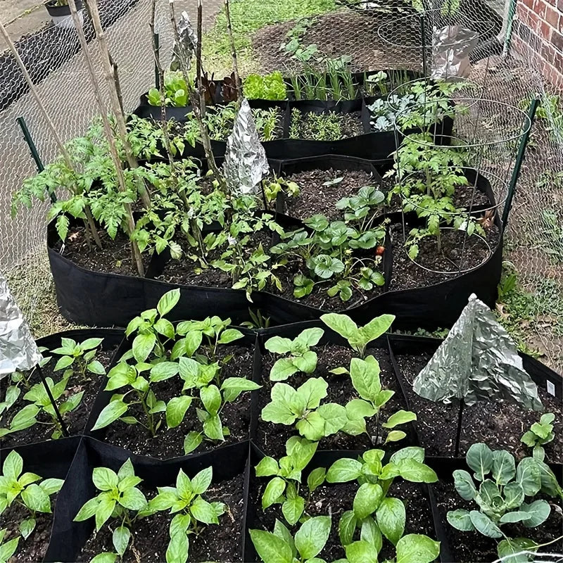 Extra Large 8-Grid Elevated Garden Bed for Vegetables and Flowers showing various green plants in soil