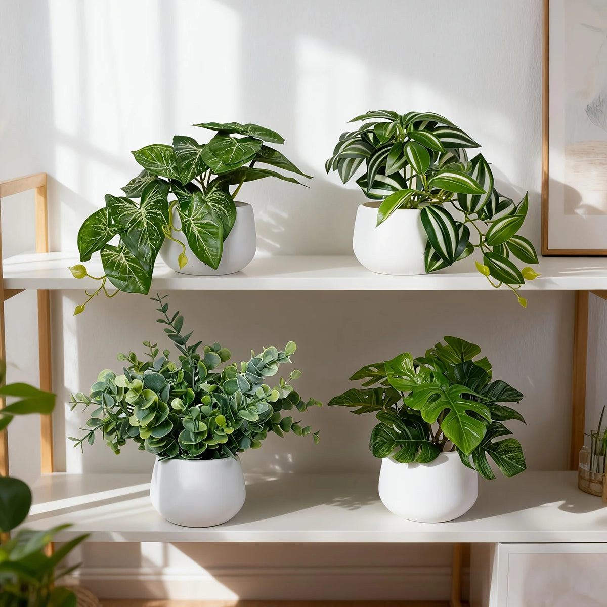 A collection of artificial bonsai succulent plants in white pots displayed on a wooden shelf.