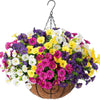 A hanging basket filled with colorful artificial eucalyptus and morning glory flowers
