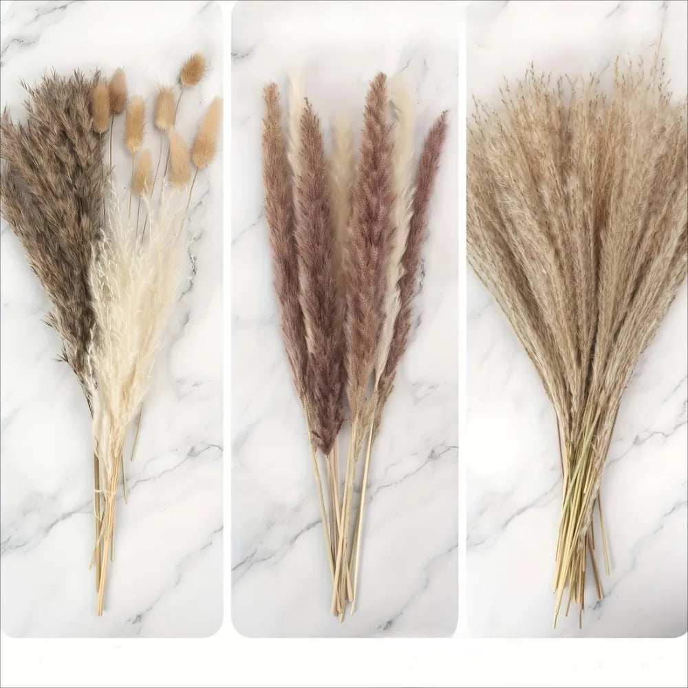 Dried flower bouquet featuring various shades of pampas grass in beige, brown, and cream tones