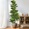 A tall artificial fiddle leaf fig tree in a textured pot displayed on a wooden shelf.