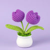 Hand woven crochet purple flowers in a white pot with green leaves