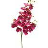A stem of Lifelike Butterfly Orchid with 21 deep pink and maroon blooms.