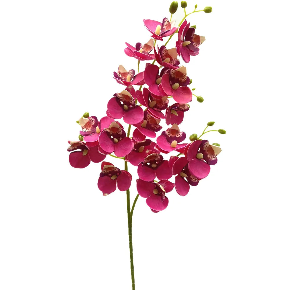 A stem of Lifelike Butterfly Orchid with 21 deep pink and maroon blooms.