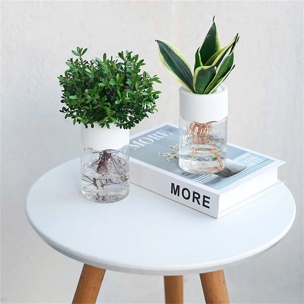 A small glass planter holding a green succulent plant sits on a white table next to a book.