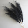 A bunch of black artificial pampas grass branches displayed against a white background.