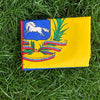 A yellow banner featuring the flag of Venezuela with green palm leaves and text on a green grassy background.